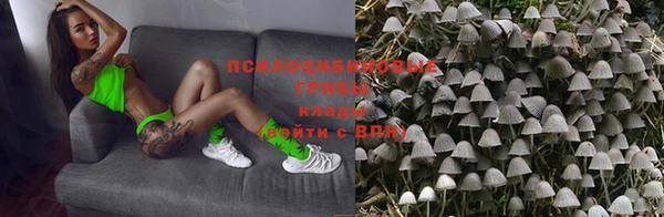МДПВ Лиски