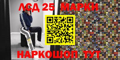 ПСИЛОЦИБИНОВЫЕ ГРИБЫ Нальчик
