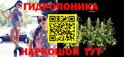ПСИЛОЦИБИНОВЫЕ ГРИБЫ Нальчик