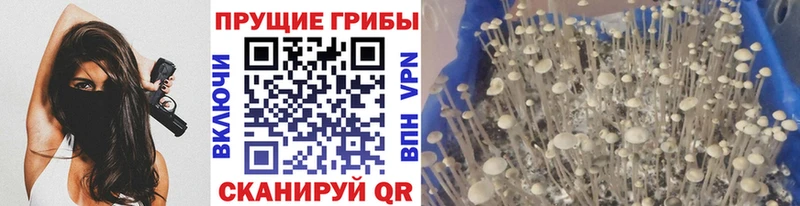 нарко площадка официальный сайт  ОМГ ОМГ как войти  Саянск  дарнет шоп  Псилоцибиновые грибы MAGIC MUSHROOMS 