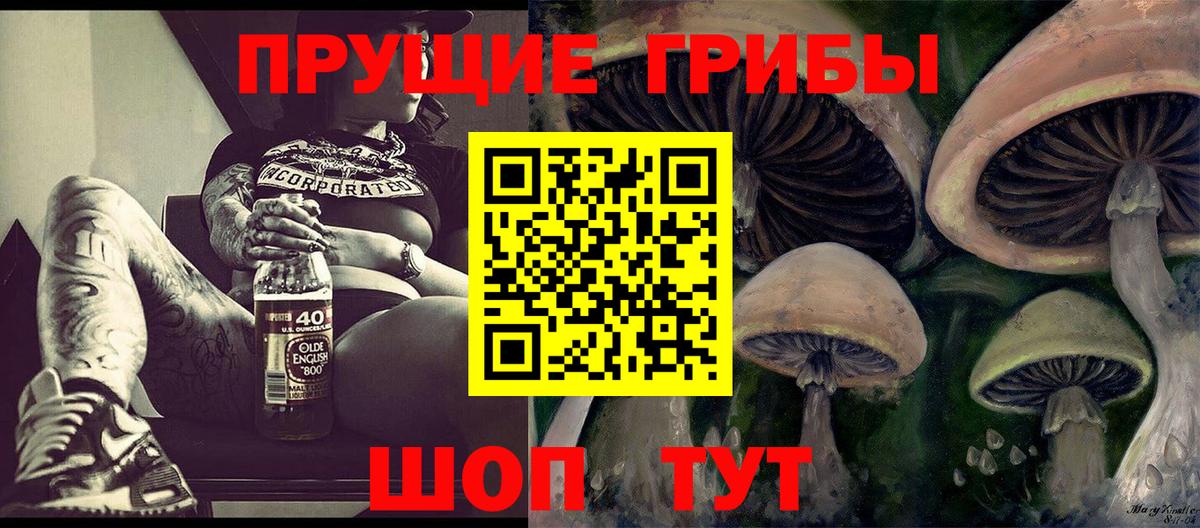 Саянск  где продают   Вход с VPN  Псилоцибиновые грибы MAGIC MUSHROOMS 