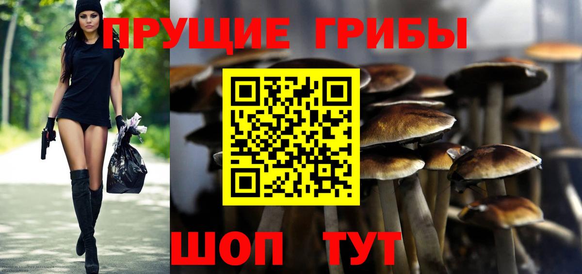 Галлюциногенные грибы мицелий Саянск